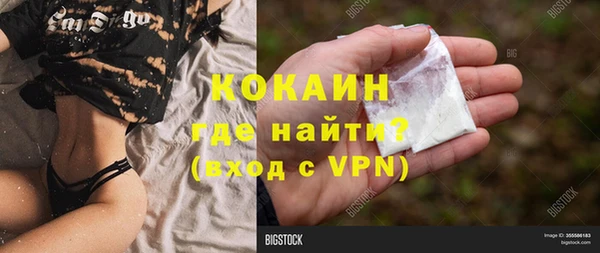 не бодяженный Арсеньев