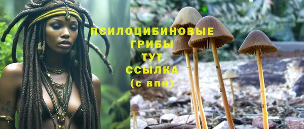 марки nbome Алзамай