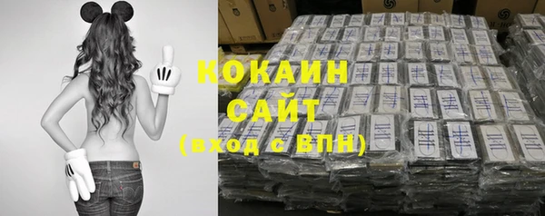 прущие грибы Аркадак